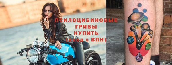 МДПВ Волоколамск
