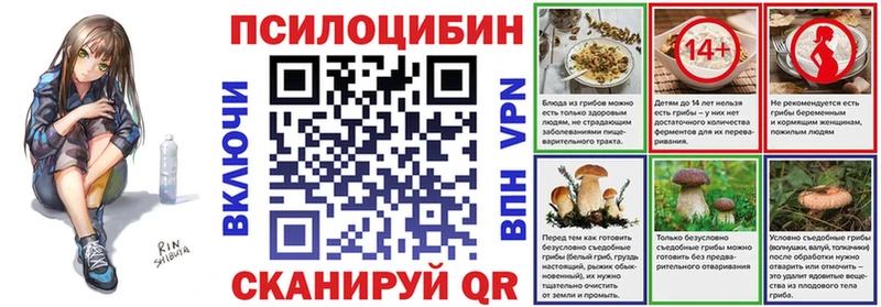 ссылка на мегу как войти  Курск  Псилоцибиновые грибы ЛСД 